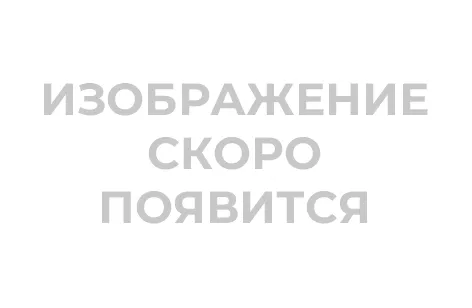 /catalog/razdeliteli-na-kassu/